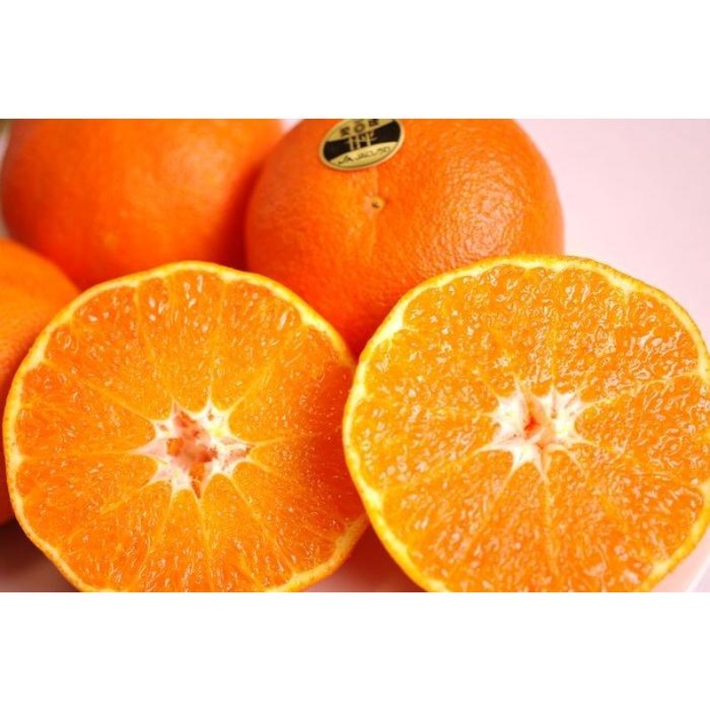愛媛産プチプチした食感が特徴の柑橘を販売取寄。約12玉前後　愛媛産　甘平（かんぺい）通販　Ｍ〜Ｌ小さめサイズ　LINEショッピング