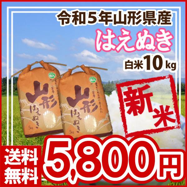 白米 10kg (5kg×2) 山形県産 はえぬき 米 お米 精米済 令和5年（送料無料）