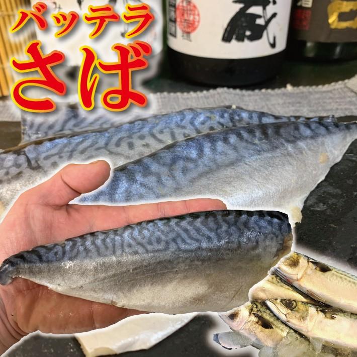 しめ鯖 さば 鯖 バッテラ用酢〆さば 5枚 業務用向け サバ寿司 お刺身 鯖寿司 酒のアテ おつまみ