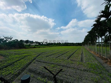 屏東市區臨路稀有大地坪工業地(一)｜屏東縣屏東市三山