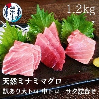 ふるさと納税 焼津市 天然ミナミマグロ 訳あり 大トロ 中トロ(サク) 詰合せ 訳1,2kg入り(a30-227)