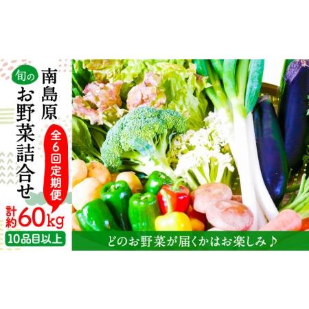 ふるさと納税 地元の農家さんが収穫した旬のお野菜 詰め合わせセット 地元の農家さんが収穫した旬のお野菜 詰め合わせセット 野.. 長崎県南島原市