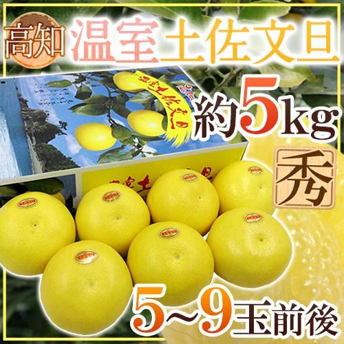 土佐高知 ”温室土佐文旦” 秀品 5〜9玉前後 約5kg 送料無料