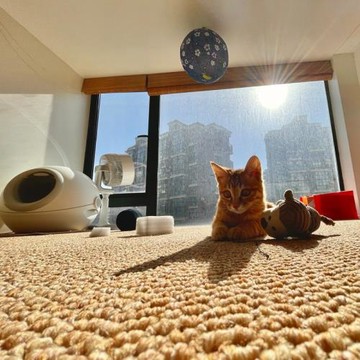 榻榻米地毯飄窗貓抓板仿黃麻地毯仿劍麻地毯客廳茶室沙發臥室床邊
