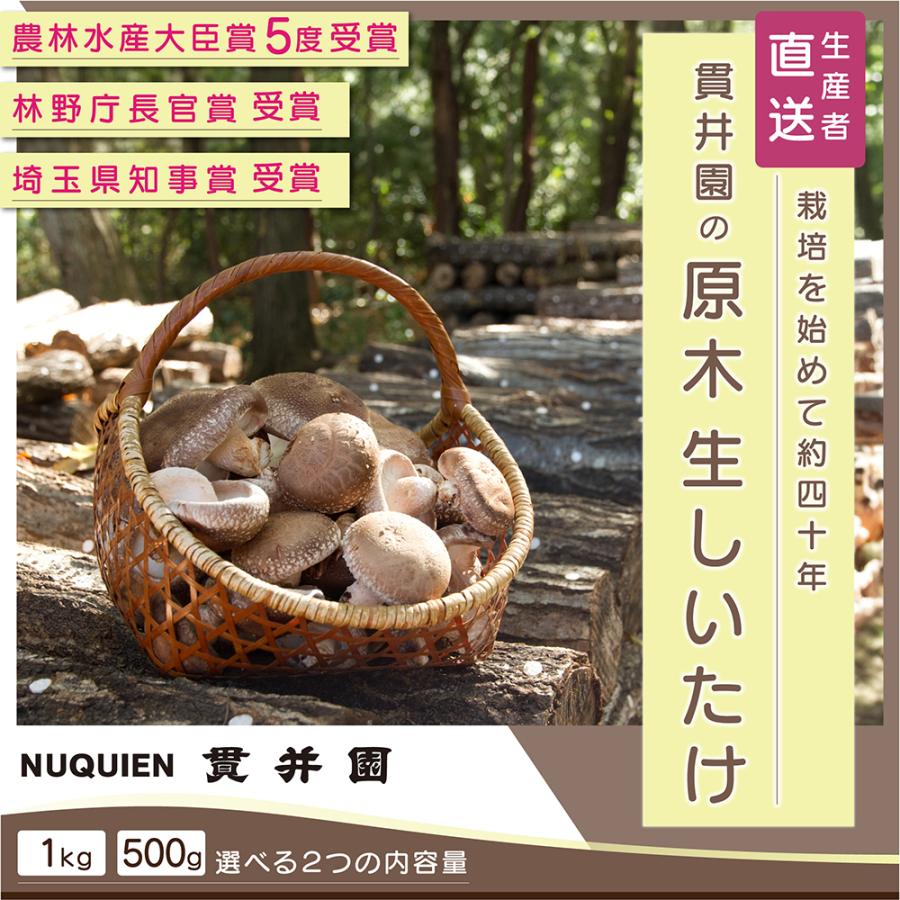 生産者直送！ 原木生しいたけ サイズおまかせ　1Kg　　お買得　貫井園 の 原木椎茸　原木しいたけ　原木シイタケ