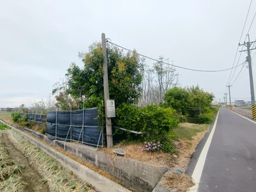雲林土庫千坪漂亮休閒農地｜雲林縣土庫鎮崙內段