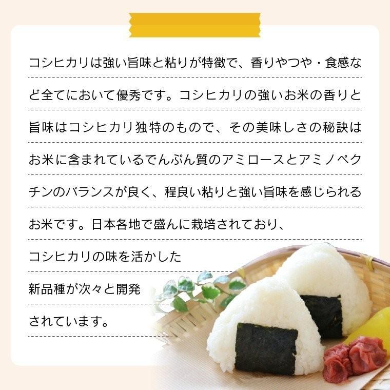 新米 令和５年 お米 5kg  Iwaki Laiki コシヒカリ 無洗米 福島県産 送料無料 精米  米