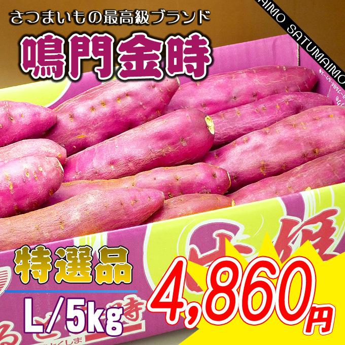 特秀品　徳島産の鳴門金時芋Lサイズ5ｋｇ