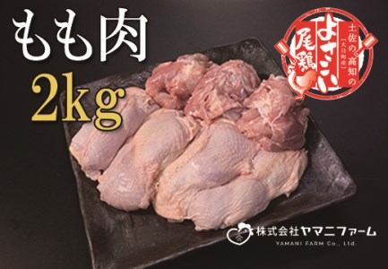 よさこい尾鶏 もも肉2kg