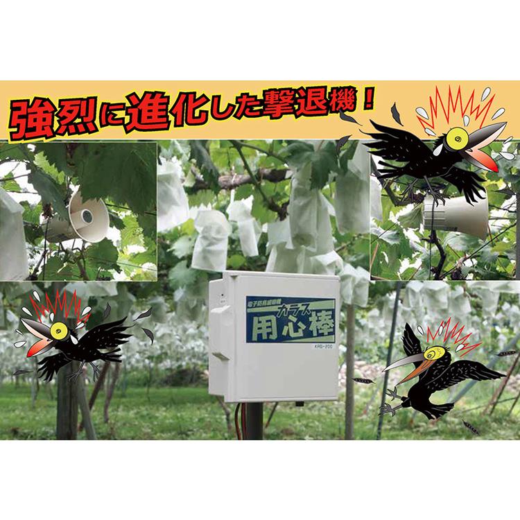 カラス用心棒２ （ACアダプター仕様）カラス 被害 対策 爆音器 威嚇