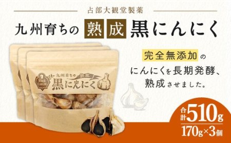 九州 育ち の 熟成 黒にんにく 170g 3袋 まるごと にんにく