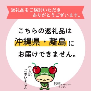 令和6年産 特秀品 さくらんぼ「 紅秀峰 」600g (300g×2パック) ２L以上 2024年産 山形県産 山形産 　032-A-AF004