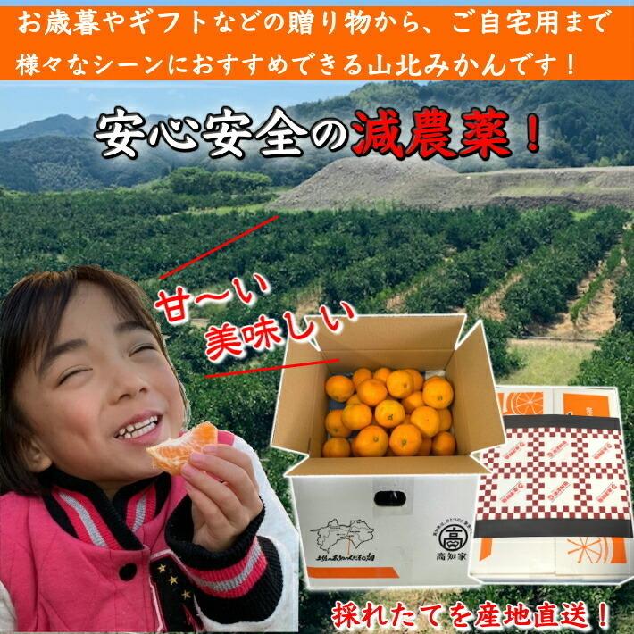 山北みかん 減農薬 優品 約10kg 生産者限定 温州みかん お歳暮 高知県産