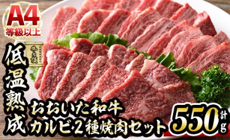 おおいた和牛 カルビ 2種焼肉セット (合計550g・赤身カルビ250g カルビ300g) 国産 牛肉 肉 霜降り 低温熟成 A4 和牛 ブランド牛 焼肉 BBQ 冷凍 大分県 佐伯市