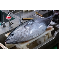 「カニ屋が作る 魚ローストフィッシュ」 シビマグロ 1袋 約200g×5袋入り（ドレッシングソース付属）