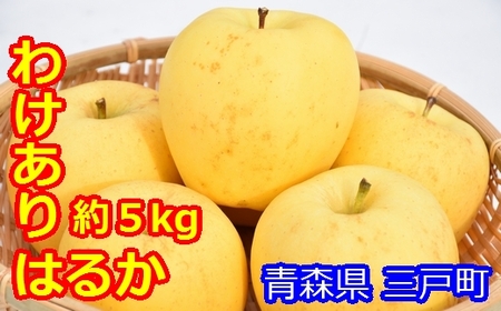 高級りんご「はるか」12～20玉（約5kg）