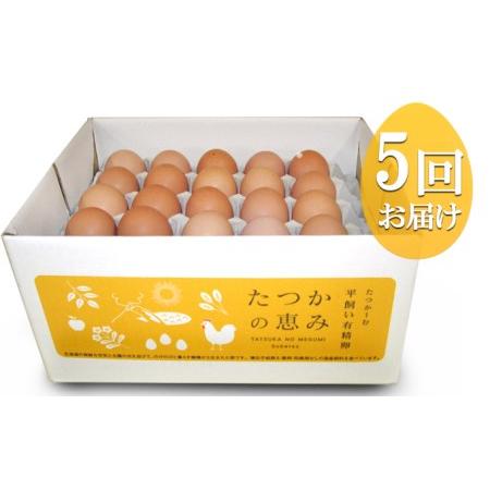 ふるさと納税 平飼い有精卵『たつかの恵み』40個× 5ヶ月連続お届け 北海道壮瞥町