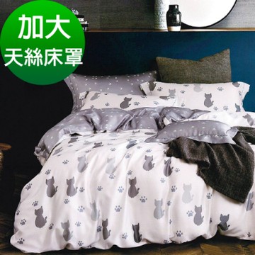 Saint Rose頂級精緻100%天絲床罩八件組(包覆高度35CM)-仰星星 加大