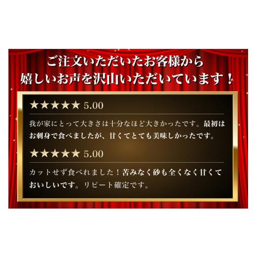 ふるさと納税 北海道 厚岸町 北海道 訳あり 冷凍 帆立 貝柱 1.3kg (各回1.3kg×2ヶ月分,合計約2.6kg)…