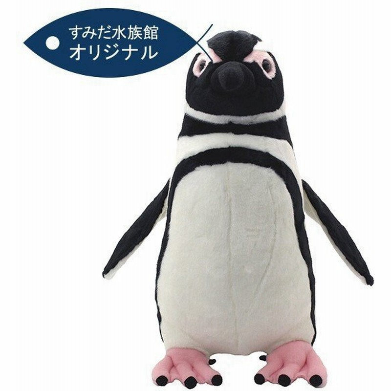 すみだ水族館 オリジナル 飼育員監修 マゼランペンギン ぬいぐるみ 等身大 通販 Lineポイント最大0 5 Get Lineショッピング