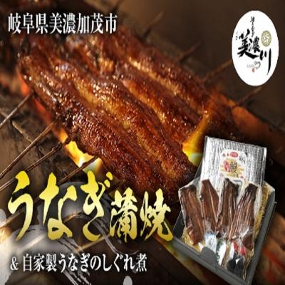 ふるさと納税 美濃加茂市 うなぎ 蒲焼 2尾 と 自家製 うなぎ の しぐれ煮 100gのセット