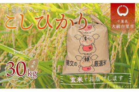 令和5年産 千葉県産エコ米「コシヒカリ」玄米30kg（30kg×1袋）