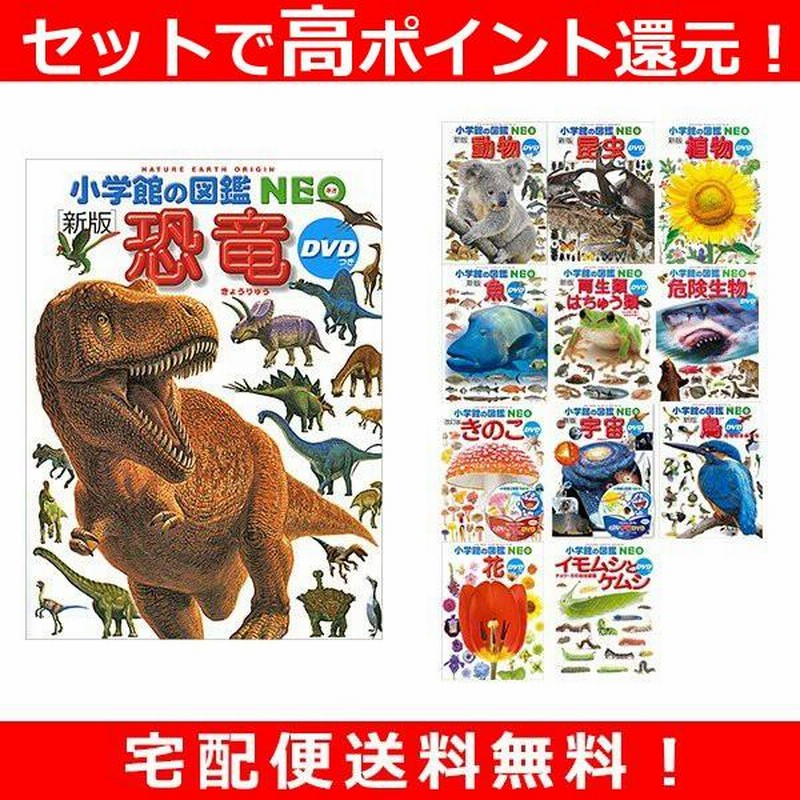 小学館 図鑑 ネオ 昆虫 動物 鳥 魚 恐竜 【全商品オープニング価格