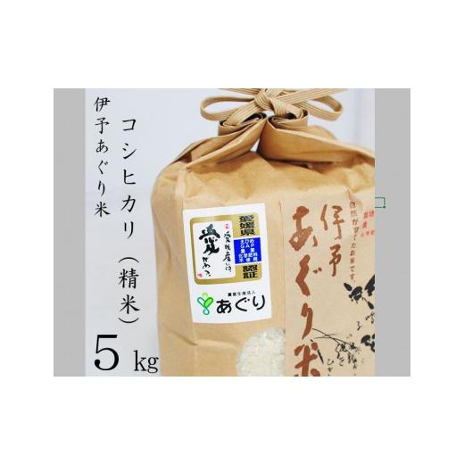 ふるさと納税 愛媛県 松前町 ★令和５年産をお届けします！！★農薬・化学肥料不使用　伊予あぐり米「コシヒカリ」（精米５ｋｇ）