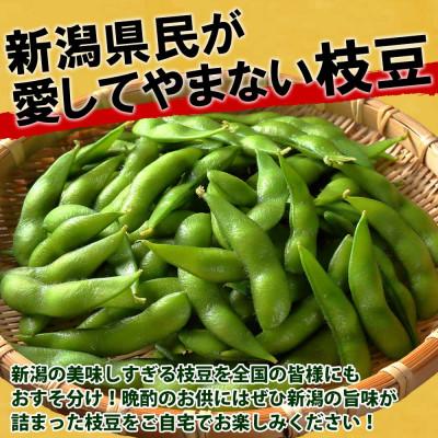 ふるさと納税 南魚沼市 令和6年産 枝豆1kg(500g×2袋) 新潟県 南魚沼市