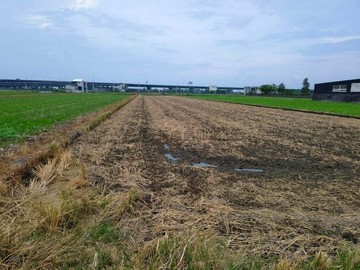 宜蘭高鐵擴大區 新福段徵收農地｜宜蘭縣壯圍鄉新福段