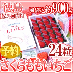 徳島県佐那河内産 ”さくらももいちご” 大粒24粒 化粧箱 送料無料