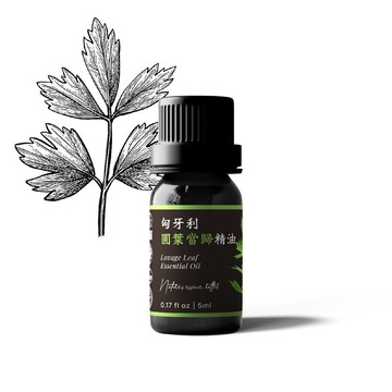 【卡佛香】匈牙利圓葉當歸精油