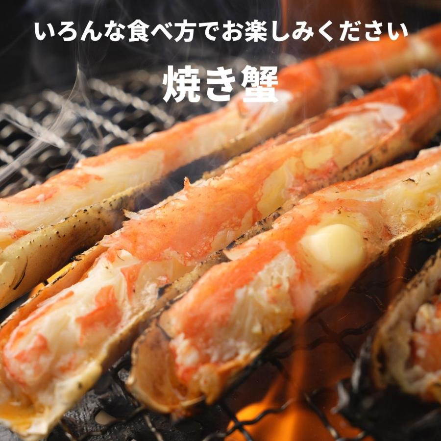 かに カニ 蟹 ずわいがに ボイル 脚 てんこ盛3kg 10-13肩 5-6人前 ギフト お歳暮 贈りもの ズワイガニ かに カニ 蟹