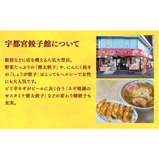 ふるさと納税 栃木県 宇都宮市 ＜宇都宮餃子館＞　餃子32個入り