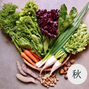 京都大原の里山から！旬の有機野菜BOXとジャムセット