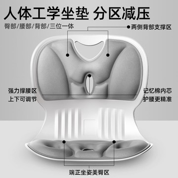 公司貨 免運 護腰坐墊腰靠墊人體工學護腰椅久坐不累辦公教室學生成人