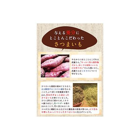 ふるさと納税 熊本県大津町産 タカハマ観光農園のシルクスイート 約5kg《12月中旬-4月末頃より順次出荷》 さつまいも 芋 秋の味覚 熊本県大津町