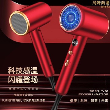（爆款熱賣）（國際精品）智能溫度顯示吹風機家用大功率吹風筒速幹恆溫髮廊美發電吹風 露天市集 全臺最大的網路購物市集
