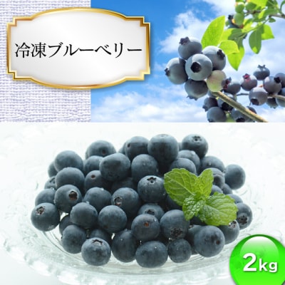 食の都庄内　冷凍ブルーベリー2kg(2023年収穫分)