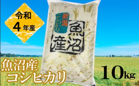 r05-23-1KY 令和5年産 魚沼産コシヒカリ10kg 白米 魚沼 米