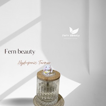 現貨 蕨美植栽 輕奢玻璃水耕組