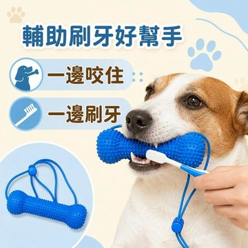 寵物用品 寵物骨頭咬咬棒 輔助刷牙工具