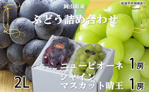 ぶどう［2023年先行予約］ニューピオーネ 1房 約500g シャインマスカット 晴王 1房 約500g 詰め合わせ 岡山県産