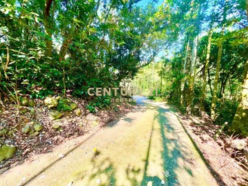 草屯土地-南坪路旁超低總價農地｜南投縣草屯鎮新南坪段