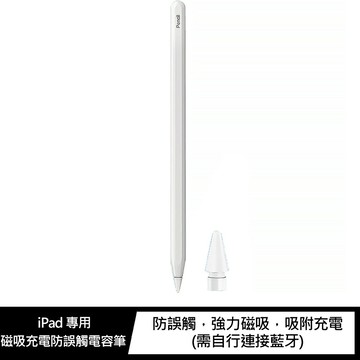 強尼拍賣~AOYi iPad 專用磁吸充電防誤觸電容筆