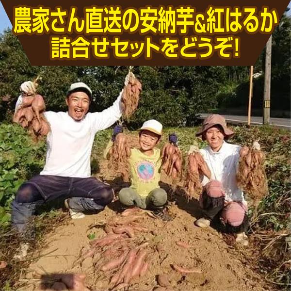 完熟さつまいも 長期熟成 約3.0kg 香川県産 2種詰合せ 安納芋・紅はるか  送料無料