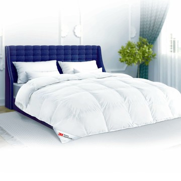 3M可水洗科技羽絨冬被-雙人180x210cm