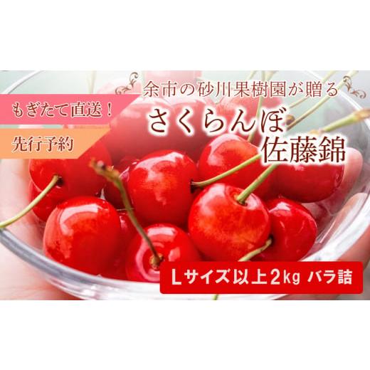 ふるさと納税 北海道 余市町 もぎたて直送 さくらんぼ 佐藤錦 2kg箱(北海道余市町産)