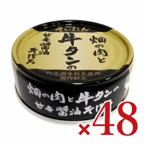 伊藤食品 あいこちゃん そいたん 畑の肉と牛タンの甘辛醤油そぼろ 60g×24個 × 2ケース 化学調味料不使用