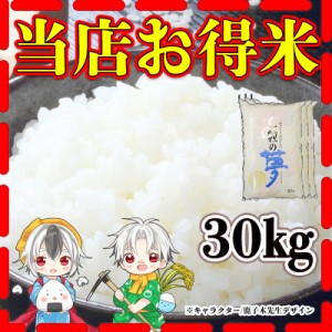 お米 米 30kg 白米 当店お得米 一粒の夢 あす着 令和5年版 訳あり 規格外のお米 10kg3個 くまもとのお米 九州 熊本 富田商店 とみた商店